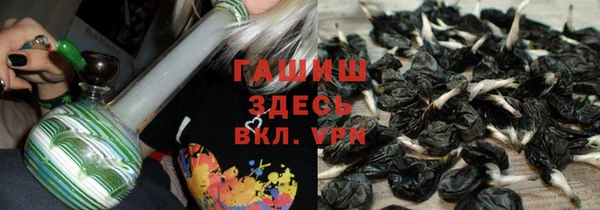 сатива Магадан