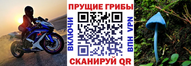 Псилоцибиновые грибы Psilocybine cubensis  Купить  Петрозаводск 